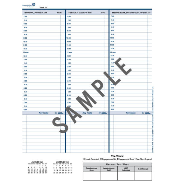 2025 AMERIPRISE Business Activity Manager™ (201AP25) - Image 6