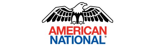 American Insurance logo