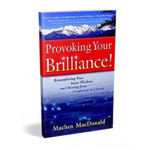 Provoking Your Brilliance by Machen MacDonald